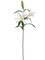 12 White Casablanca Lily Stems - 34" - Event & Home Decor, Floral Home by Artificial Flowers